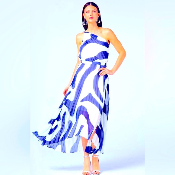 Caché Pleated Maxi Dress - Picture 2 of 5